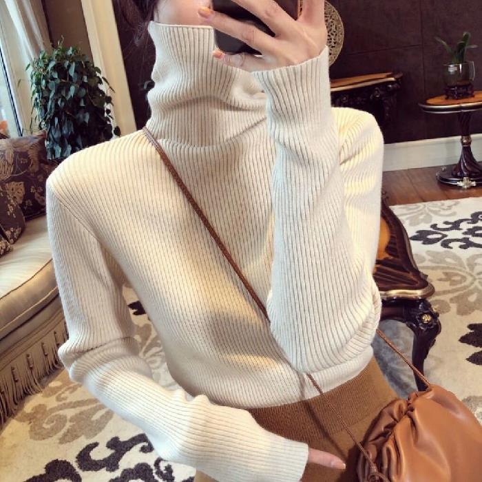 Women's Spring & Autumn Slim-Fit High-Neck Knit Sweater - Loose Inner Wear Base Layer Top