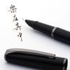 Metal Office Signature Fountain Pen for Student Calligraphy and Writing Practice, Straight Nib with Ink Cartridge, Engravable.