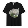 Cute Funny Cat On Watermelon Meme T Shirt Men Women O-Neck Fashion Cotton Short Sleeve T-shirts Retro Harajuku Oversized T-shirt