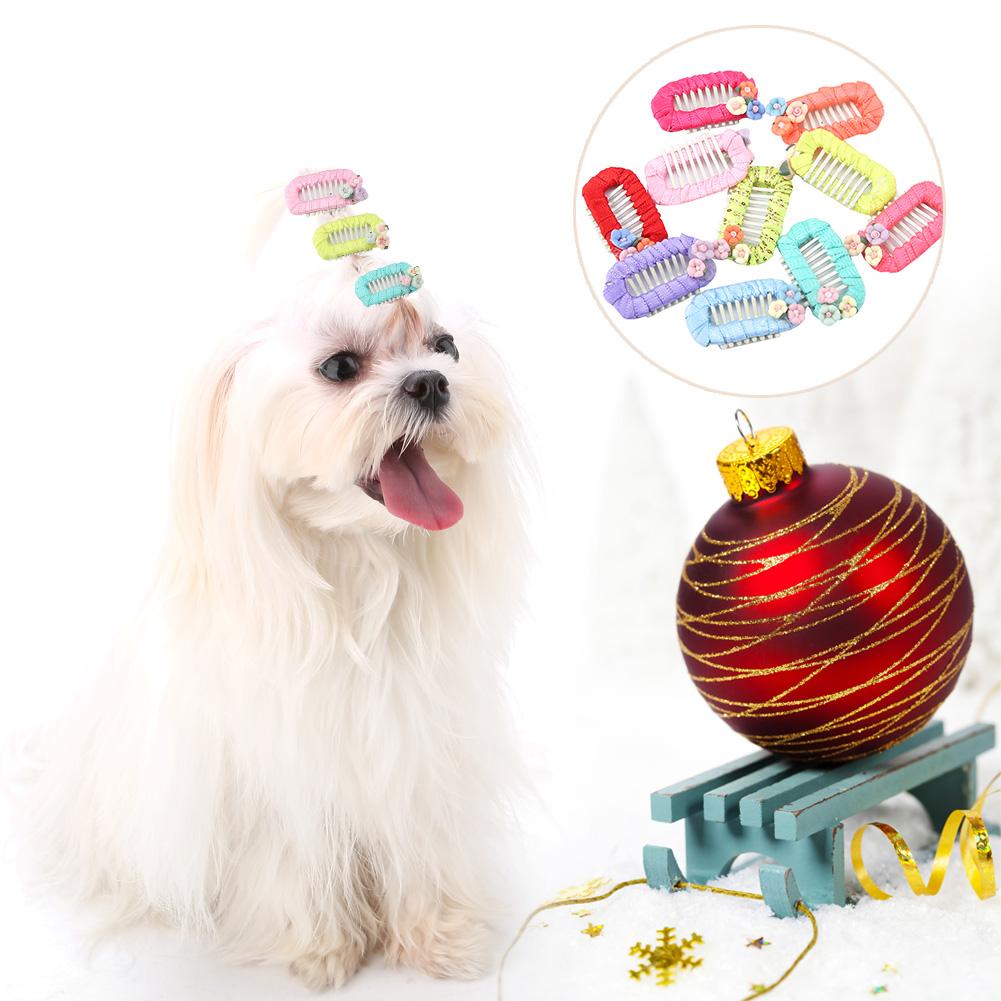 10Pcs Pet Hair Clips Cute Flower Decoration Hairpins Dog Hair Accessory Headwear(Random Color)