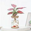 Transparent Imitation Glass Small Flowerpot,planting Potted Plants,resin Flowerpot for Green Plants,office,hotel,home Decoration