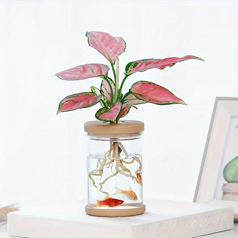 Transparent Imitation Glass Small Flowerpot,planting Potted Plants,resin Flowerpot for Green Plants,office,hotel,home Decoration