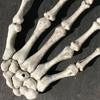 Halloween Skeleton Hand Scary Realistic Size Hand Bone Skull Decors Zombie Party Haunted House Halloween Terror Decoration Props