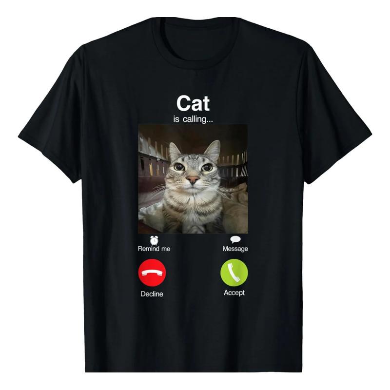Gato Llama Divertido Gato Mirando Fijamente Meme Llamando Me S