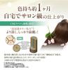 Sastty Rishiri Color Cream for Gray 170g x 2 Bottles 6 Bonus Packets of Rishiri Color Care (Dark Brown) Hair, (Includes Conditioner)
