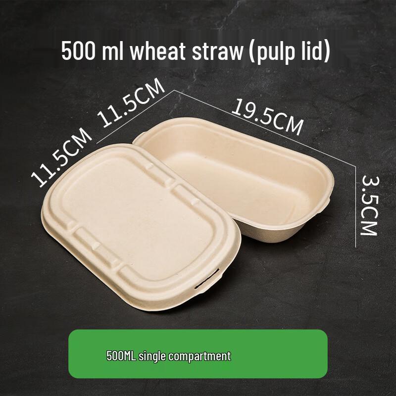 Disposable Pulp Food Container with Lid