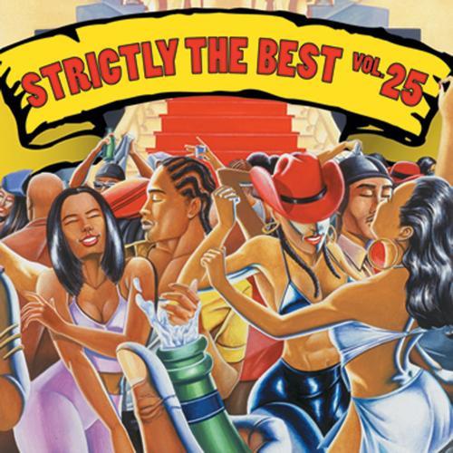CD VARIOUS Strictly The Best Vol. 25 VPCD1619 VP Records 2000 US Reggae Ska Dub Used