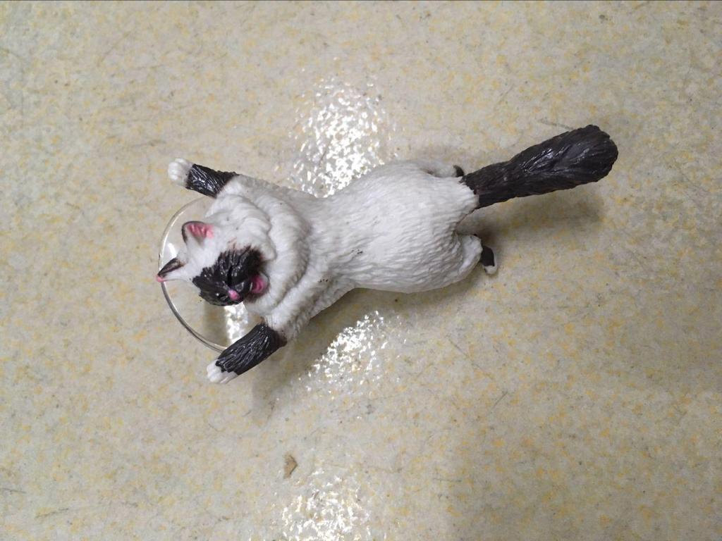 Weibo Douyin Katze Saugfuß Handyhalter für Erwachsene & Kinder