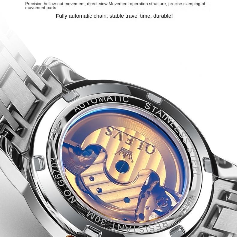 OLEVS Brand Multi-function Tourbillon Men's Watch Mechanical Watch Glow-in-the-dark Trend Men's Watch Business Model