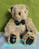 [USED] Teddy Bear, Stuffed Animal, Tartan Check Pattern