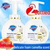 Safeguard Healthy Foaming Antibacterial Hand Wash, Camellia Scent, 2-Pack