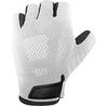 Chiba Gel Evolution Fingerless Cycling Gloves