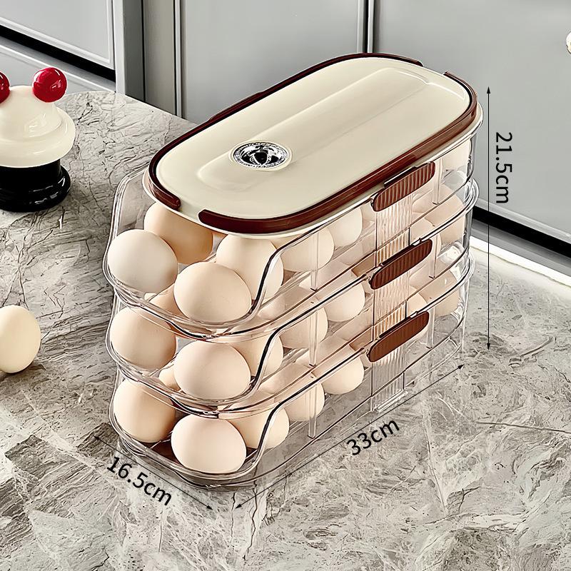 Multi-Layer Slanted Egg Rack for Refrigerator Door Storage