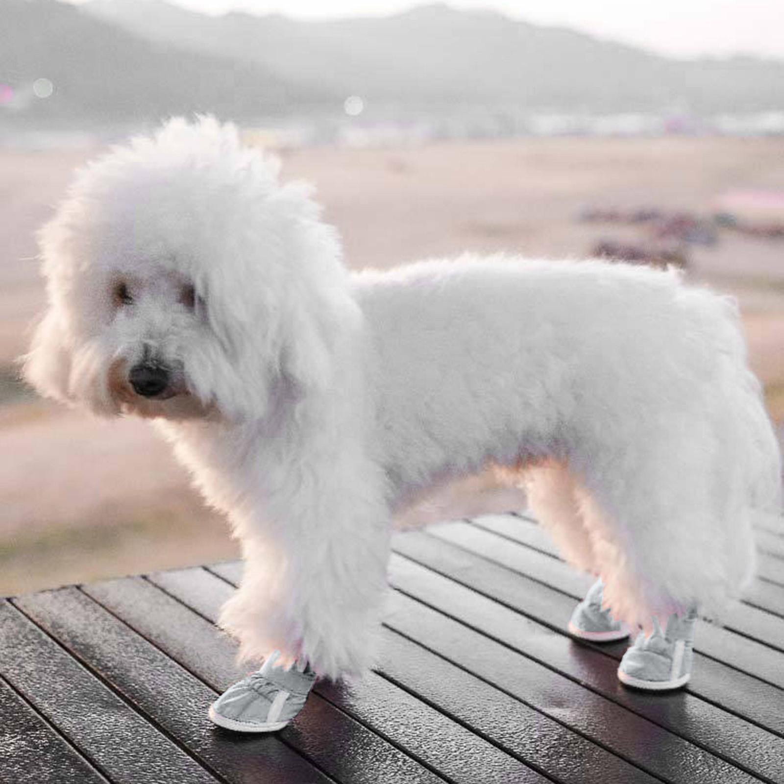 

24 Зимняя обувь для собак Тедди Маленькая собака Снежные ботинки и защита лап от мороза Собака для агрессивных грызунов Для крупных собак Водонепроницаемая защита лап A серебряный