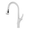 TLXT Kitchen Pull-out Hot & Cold Faucet