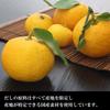 Kokubu Tabete Dashi Ramennudlar med Yuzu från Kochi Prefecture 102 g x 10 Konserverad Förrådsdashi, Salt, påsar, Mat,