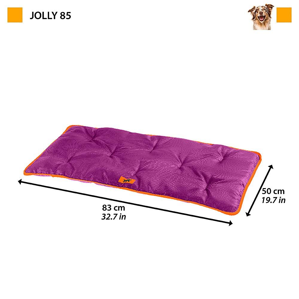 Ferplast Jolly Other Brown