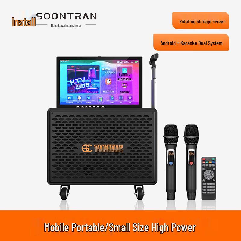 Portable Outdoor KTV Karaoke Speaker System with Dual Mics