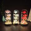 Romantic Artificial Rose Light with Acrylic Cover 3 Heads Rose Light Up Rose Simulation Luminous Eternal Rose Lamp Mothers Day