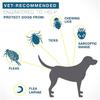 Adjustable Flea, Tick & Mosquito Collar for Pets: Cat & Dog Deworming Insecticide