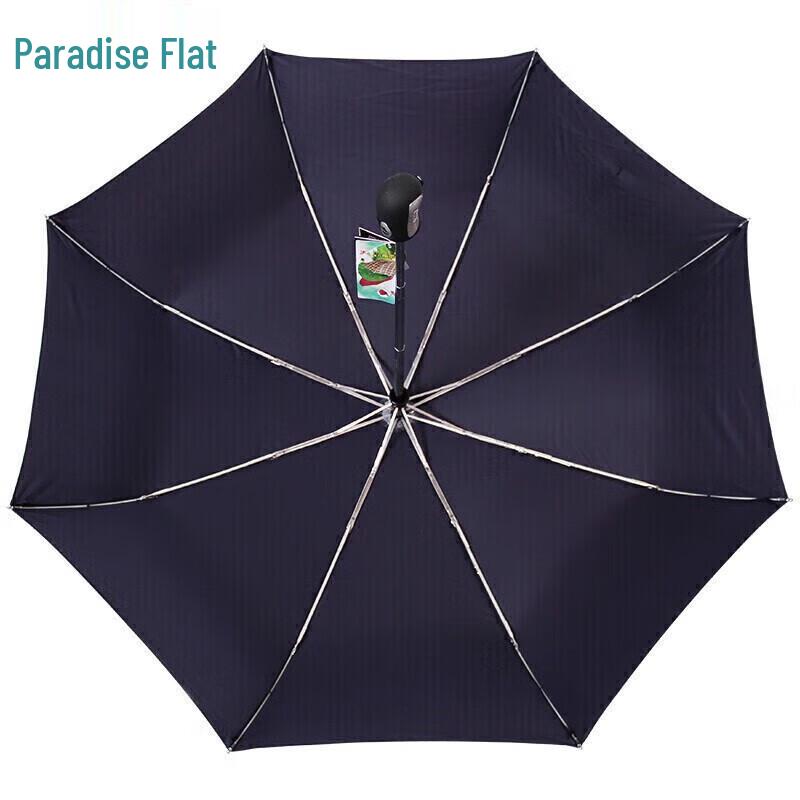Tiantang Automatic Windproof Folding Umbrella