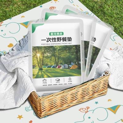 Moisture-Proof Waterproof Mat Extra Thick Camping Mat New Beach Mat  Lawn