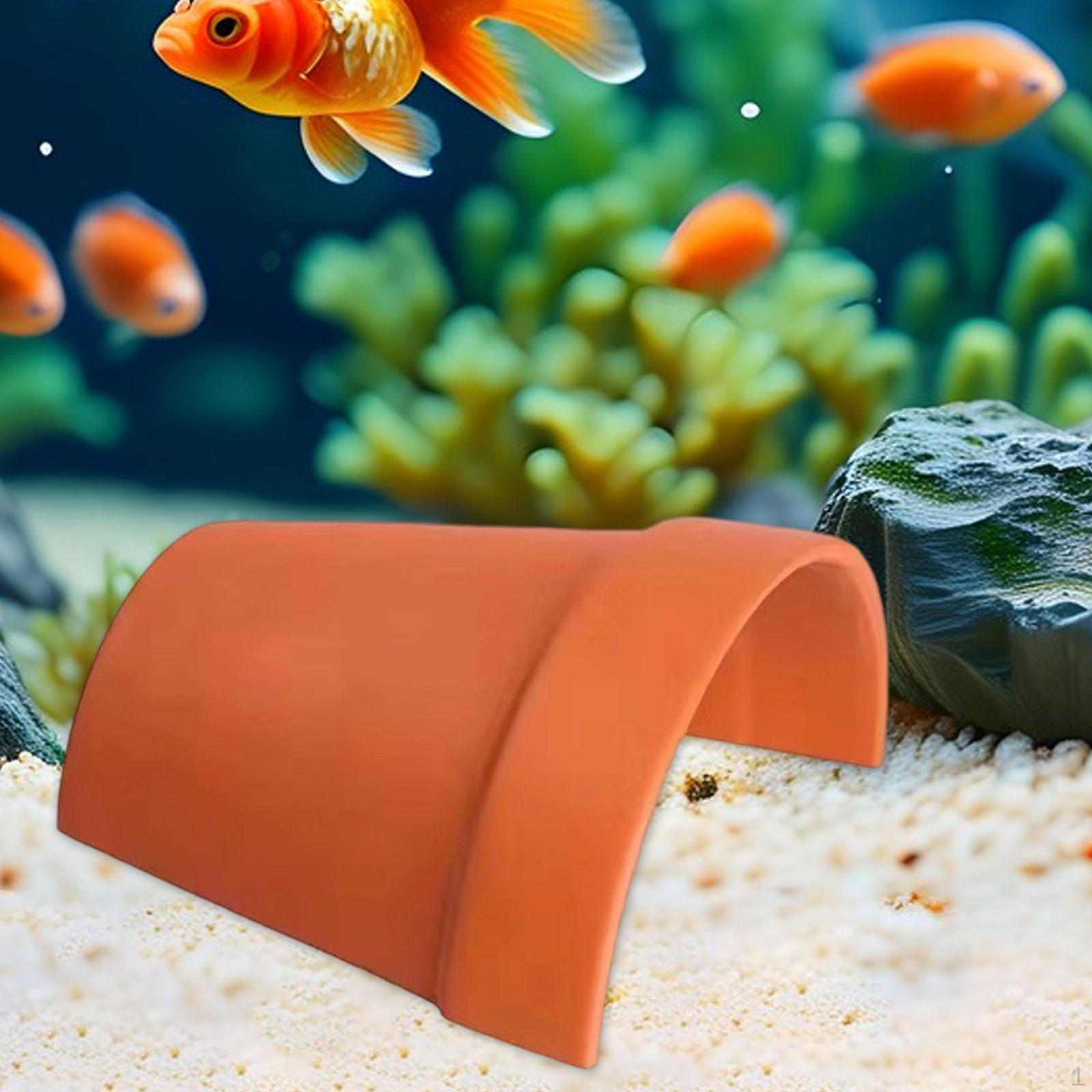 

Пещерное убежище для черепах, рептилий, амфибий S