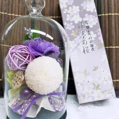 Shin Shion (1 Dome) & Incense Set, Preserved Flowers In a Mini Cork Glass Dome (Shion & Uno Chiyo Small), for Buddhist Altars, Columbariums, and Mourn