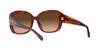 Sunglasses HC8363U CH564 CARAMEL TORTOISE GRADIENT Lens 56 [Coach] Frame/BROWN