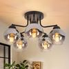 Ceiling Light - NETTLIFE - Smoked Glass Ceiling Light 35 Cm - 5xE27 - Black Finish - Vintage-modern Style