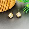 Fashion Light Luxury Gold Zircon Stud Earrings High-End Earrings Simple Versatile Earrings Exquisite Earrings