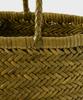 Dragon Diffusion Triple Jump Small 8811 Bamboo Green Dragonback
