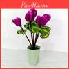 Falsk Cyklamen Persicum Blomma Krukväxt För Vardagsrum Och Eventdekoration