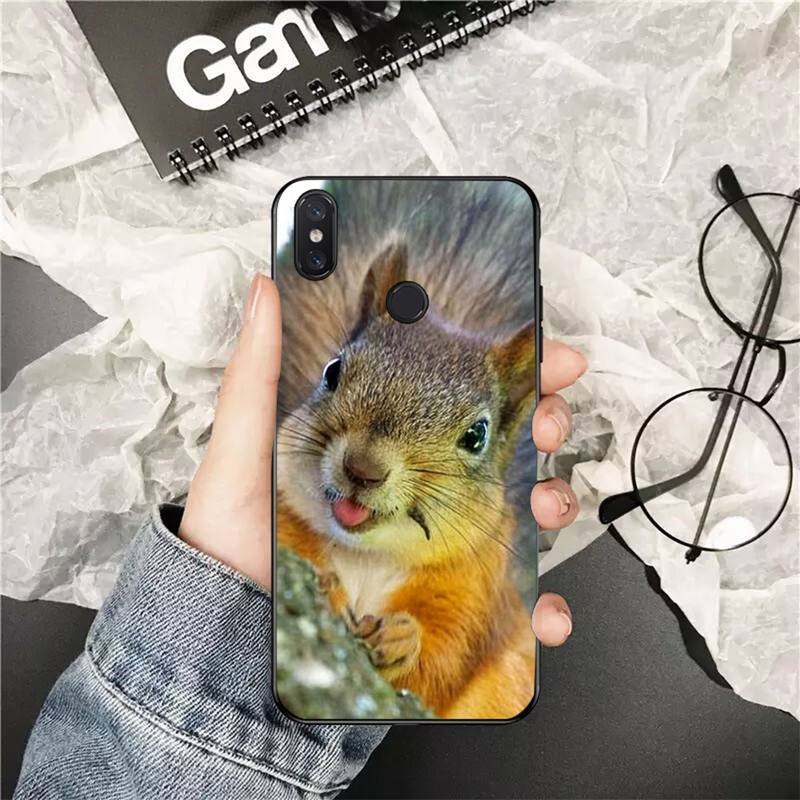 YNDFCNB Cute Animal Squirrel Customer Phone Case for Xiaomi Redmi 5 5Plus 6 6A 4X 7 7A 8 8A 9 Note 5 5A 6 7 8 8Pro 8T 9