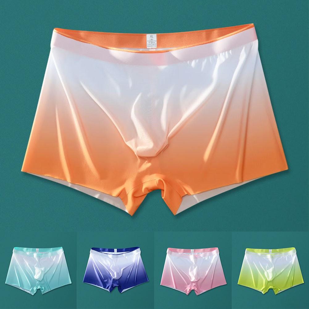 Lightweight Underwear Sexy Sheer Soft Boxer Briefs