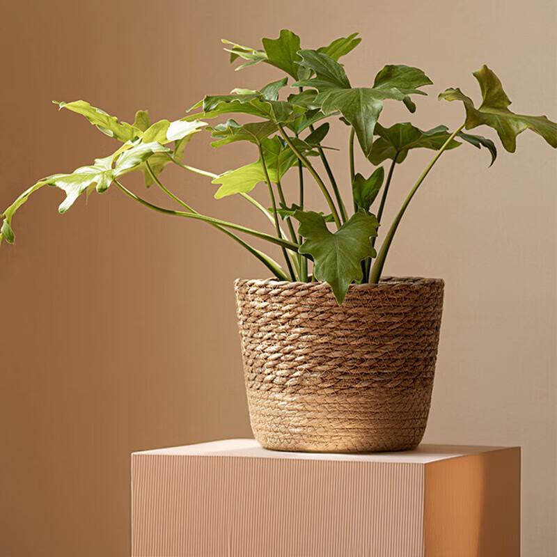 Natural Handwoven Planter Basket