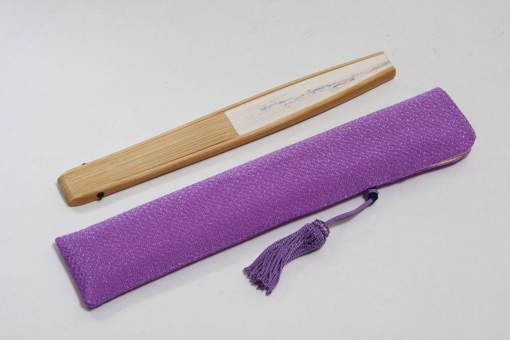 Hasegawa Women's Folding Fan with Pouch and Presentation Box, Made In Japan (Wisteria Flower Design)