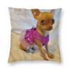 Personalized Chilly Chihuahua Square Pillow Case Home Decorative Pet Dog Cushions Throw Pillow for Car Double-sided Printing