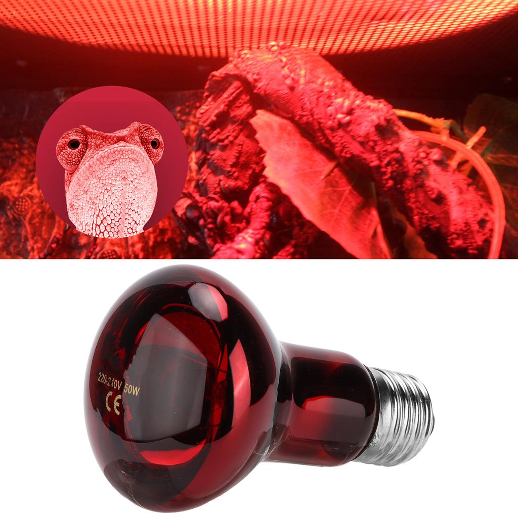 Reptile Infrared Heating Lamp Infrared UVA Heat Lamp Bulb with NickelPlated Socket for Reptiles 220240V