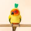 Windproof Bird Transform Clothing Soft Parrot Flight Suit Cute Pineapple Bird Clothes  Pet Show