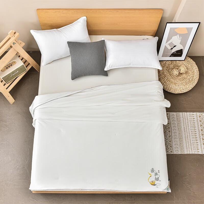 

FIRS Tussah Silk All-Season Quilt