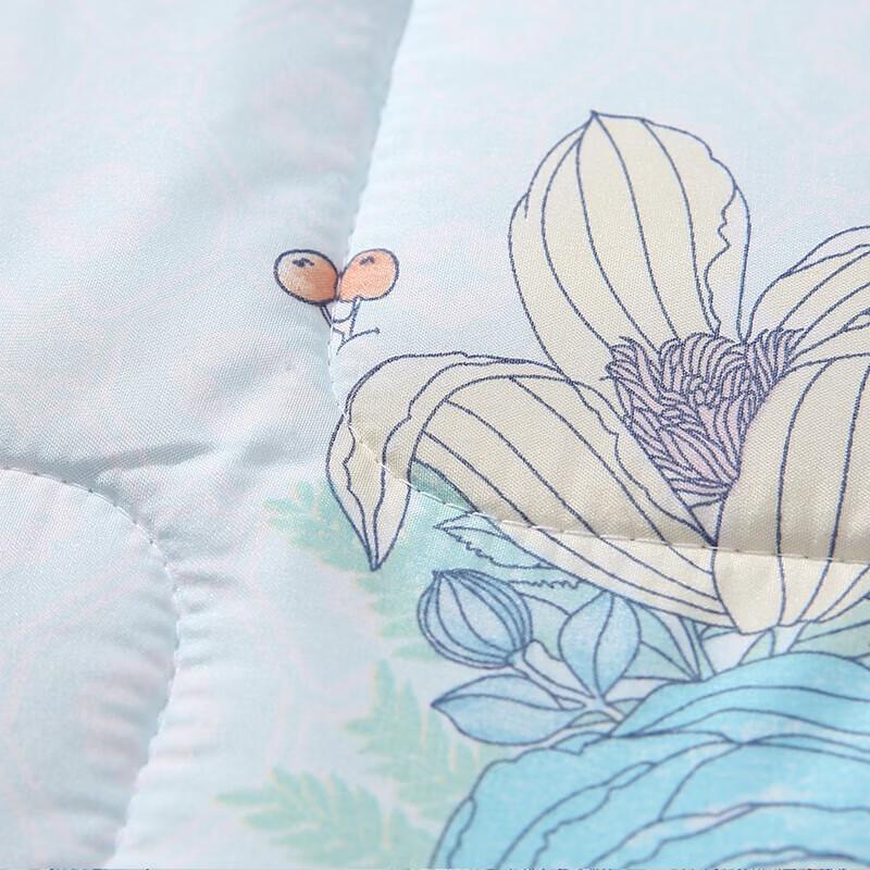 Fuanna Xinrui Antibacterial Four Seasons Quilt