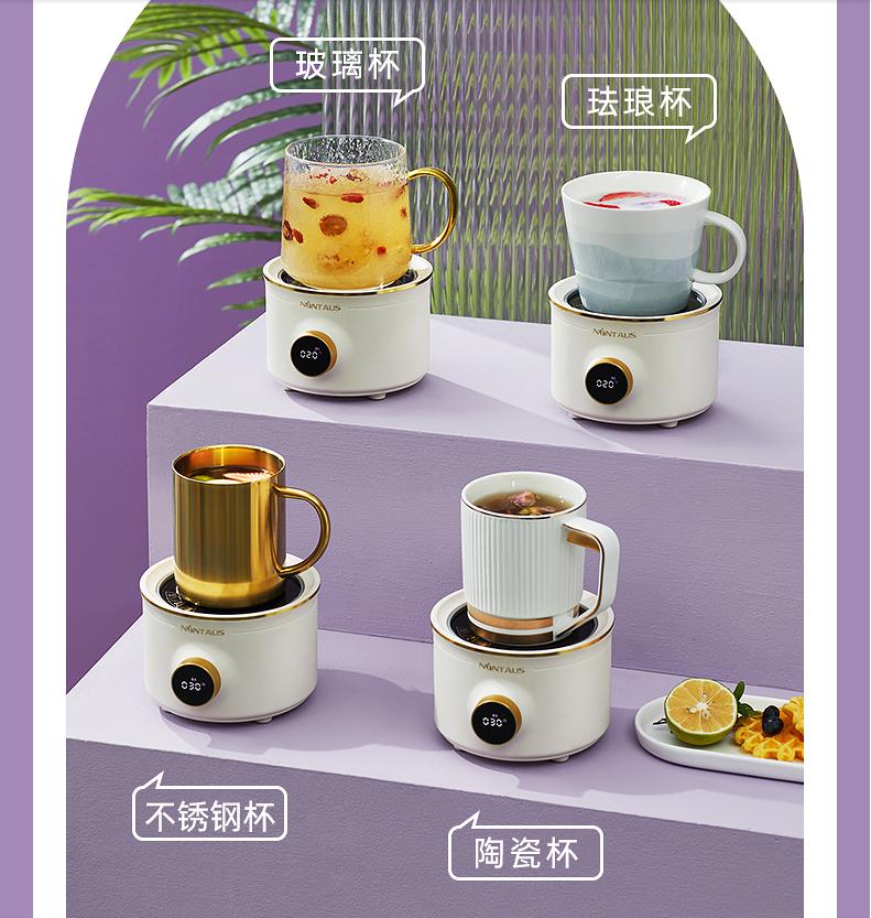 Mini-Gesundheitskonservierungstopf Multikocher 500ML Teekanne Kochmaschine Milchwärmer Tasse Schmortopf Tragbarer Herd