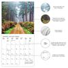 Väggkalender 2025 In i skogen Månadsvis landskapskalender Bildstilskalender för nyårsgåvor Julstrumpa Fest