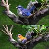 4Pcs Mini Bird Figure Model Cartoon Resin Crafts Diy Plant Bonsai Figurines Fairy Garden Dollhouse Miniatures Decor