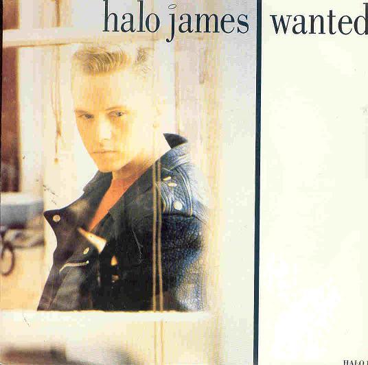 

7inch Record HALO JAMES - Wanted HALO1 Epic 1989 UK Dance & Electronica Used