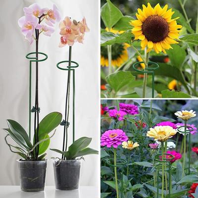 12 Pezzi Pali a Spirale per Pomodoro Supporti Vegetali a Spirale Pali di Supporto per Piante Rampicanti per Pomodoro Orchidee Farfalla Fiori Giardinaggio Domestico
