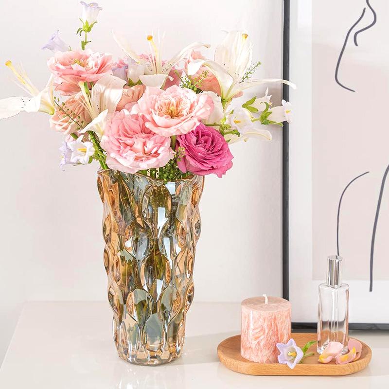 Bohemian Modern Clear Glass Vase for Home Decoration and Hydroponic Flower Arrangements in Living Room