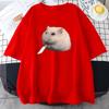 Cute Hamster Meme Graphic Tshirt Summer Round Neck Teeshirt Print Clothes Kawaii Cartoon Women Tshirts Female Tees