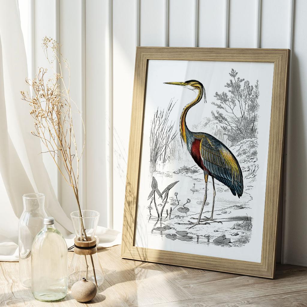 Poster Heron Bird Illustration